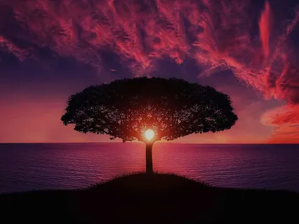 Acceptance Meditation