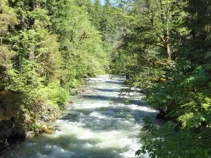 Acceptance Meditation: Let Go Of Struggle, Embrace Emotions