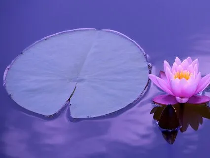 Acceptance Meditation