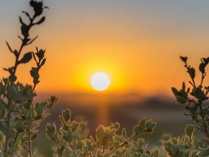 Acceptance Meditation