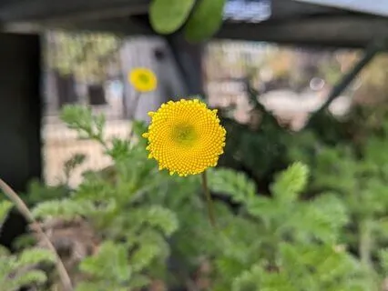 Acceptance | Mindful Motivation