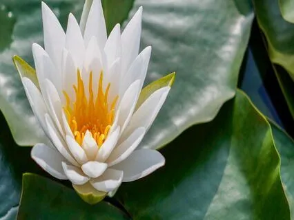 Acceptance Of All That Is