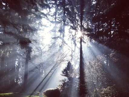 Acceptance Of Bodily Sensations- Led By Marshall Kupka-Moore