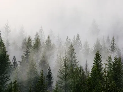 Acceptance Of Bodily Sensations- Led By Marshall Kupka-Moore