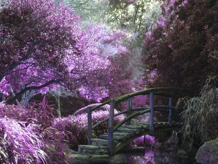 Acceptance Of Bodily Sensations- Led By Marshall Kupka-Moore