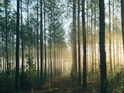 Acceptance Of Life And The Present Moment