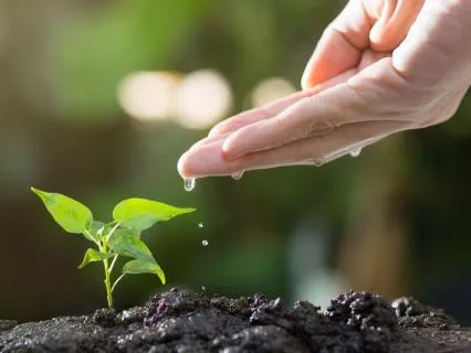 Acceptance Of Life-Phase Changes