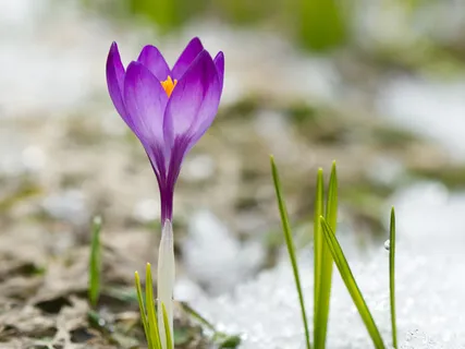 Acceptance Of What Is