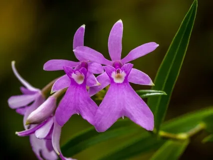 Acceptance On Rough Mornings