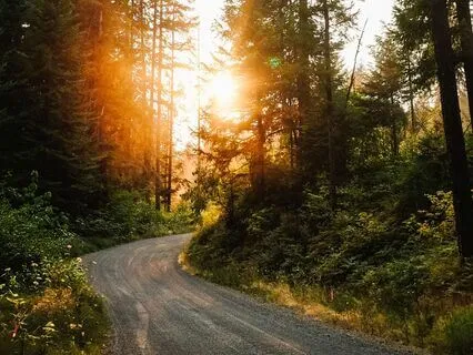 Accepting: Practice Morsels