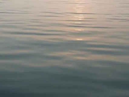 Acceptance & Resting In Peace | Reflections For Presence