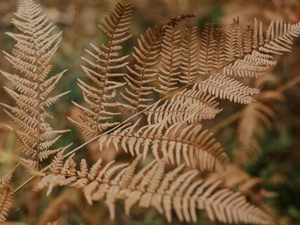 Acceptance - This Too Shall Pass