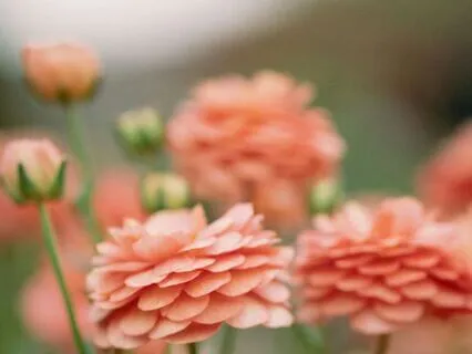 Acceptance Vs Being A Doormat