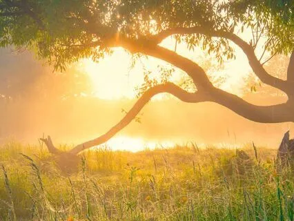 Acceptance Vs. Empowerment | Parshat Tetzaveh