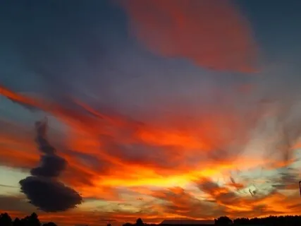 Acceptance ~ Serenity Wellness Podcast E57