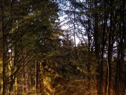 Acceptera livet (2 Riktning)