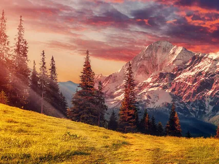 Accepting A Gift From The Universe