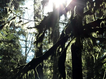 Accepting & Sending Love To Our Anxiety