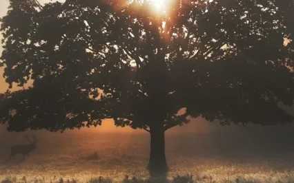 Accepting Big Success Into Your Life