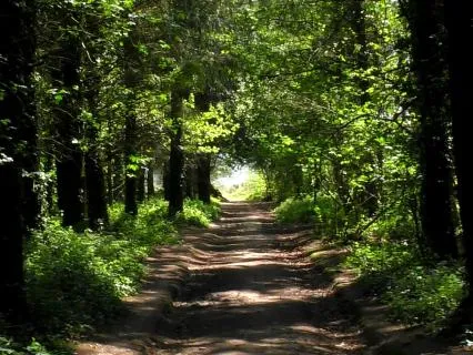 Accepting Grief - A Practice To Assist Healthy Grieving