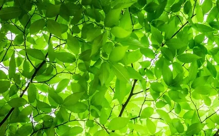 Accepting How You Feel