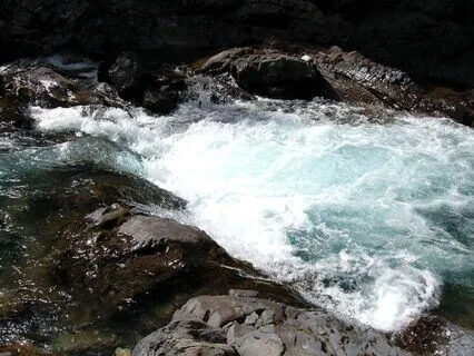 Accepting Life As It Is