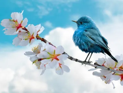 Accepting Overwhelm With EFT Tapping