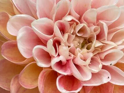 Accepting Powerlessness: A Guided Meditation For Step One