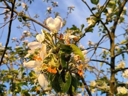 Accepting Resistance To Manifestation