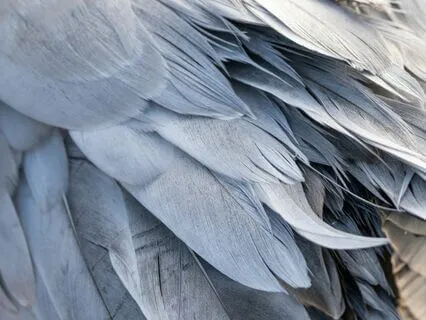 Accepting The Coming Change With Angel Number 99