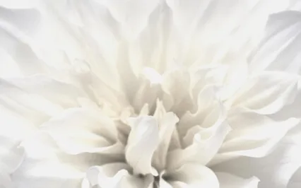 Accepting The Moment As It Really Is  (The 'Yes' Meditation)