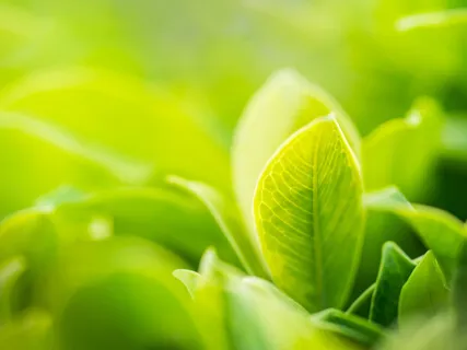 Accepting This Moment