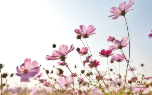 Accepting This Present Moment As It Is