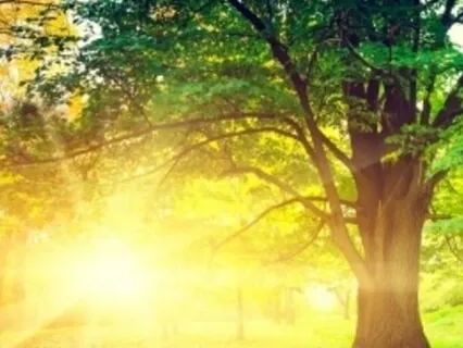 Accepting What Is - Healing Piano Music