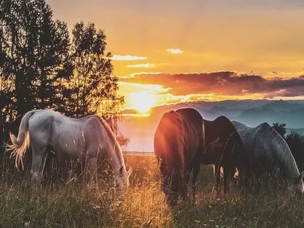 Accepting What Is - Judgement Free