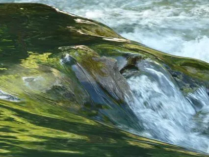 Accepting What We Can't Control