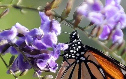 Accepting Who You Are, Where You Are