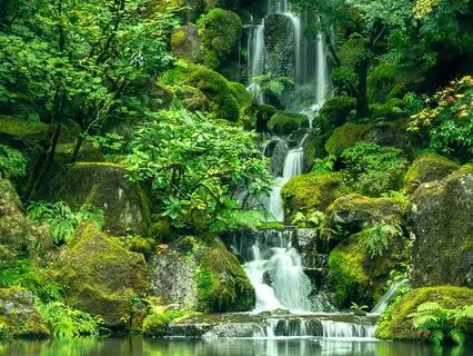 Accepting Without Efforting