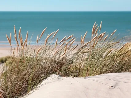 Accepting Your Feelings - Trauma Informed