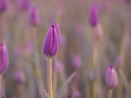 Accepting Yourself Fully Meditation