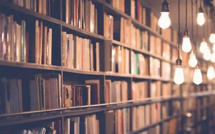 Access The Akashic Records 