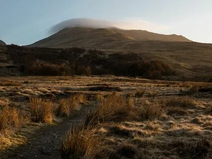 Access The Silence Within