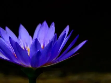 Access The Void Like Nature