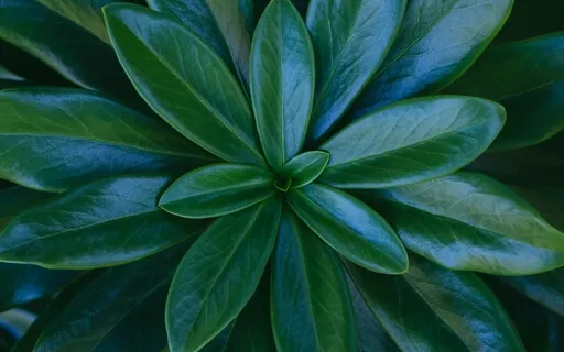 Access The Wisdom Of Your Heart