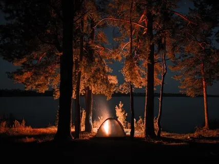 Access The Wisdom Within You