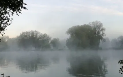 Accessibility And Inclusiveness In Buddhism