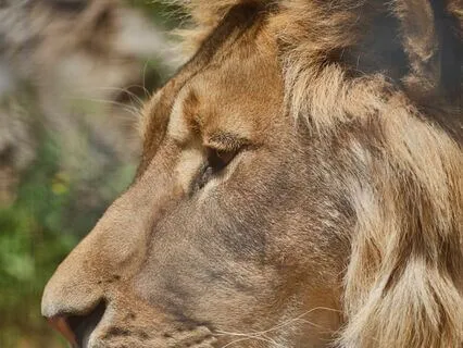 Accessing Bravery Meditation