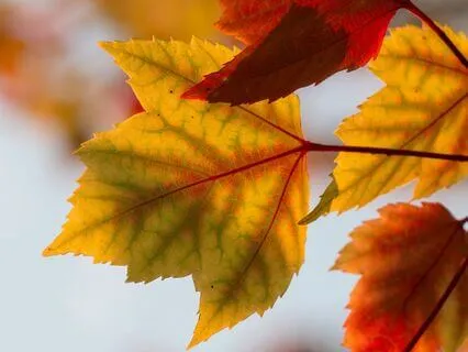 Accessing Change And Steadiness Within You