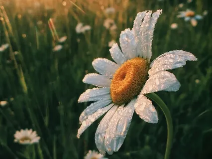 Accessing Higher States Of Consciousness Through Kindness