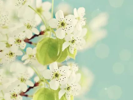 Accessing Inner Guidance In The Unknown Of COVID-19